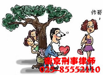 南京刑事辩护律师咨询